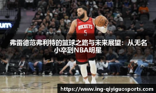 奇异果体育官网入口